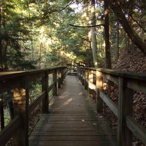 Meet your Posher, Mallory